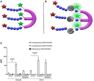 Optical Molecular Imaging of Inflammatory Cells in Interventional Medicine–An Emerging Strategy